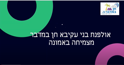 סרטוני תדמית